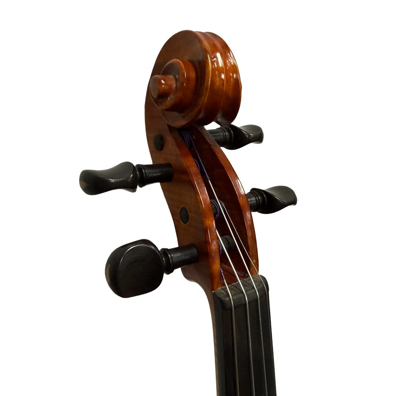 Erich Werner 223W Intermediate 4/4 Violin w/ Case (Demo Model)